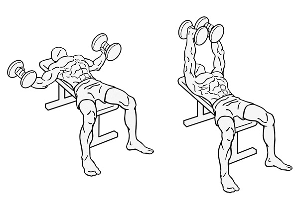 Упражнения на грудь с гантелями на стуле