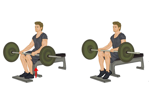 Seated Calf Raise - Ảnh & Video Hướng Dẫn Tập Cho Người Mới