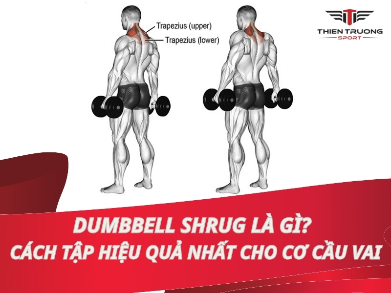 Dumbbell Shrug là gì? Cách tập hiệu quả nhất cho cơ cầu vai