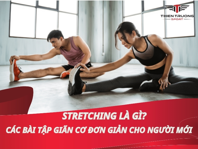 Stretching là gì? Các bài tập giãn cơ đơn giản cho người mới