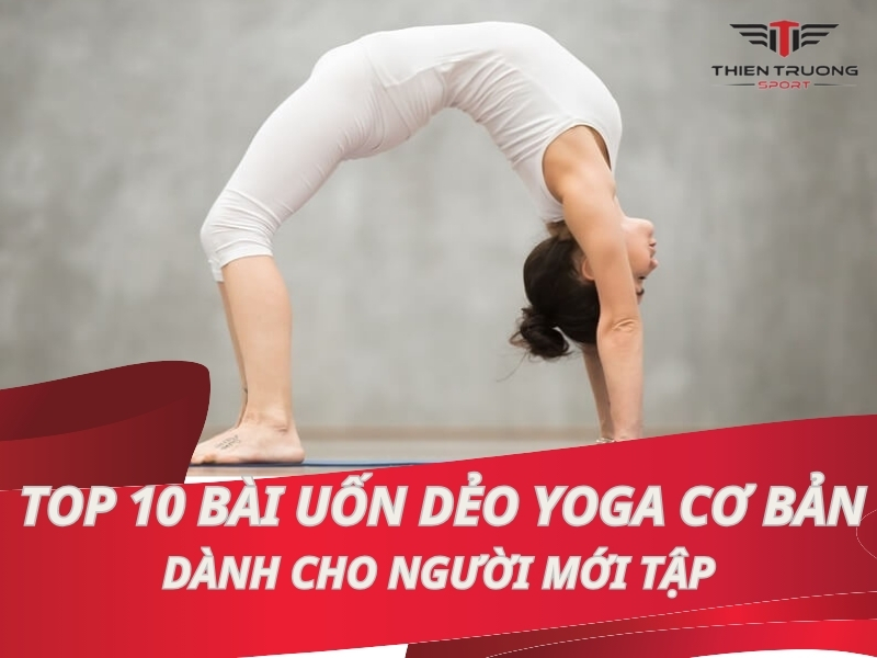 Top 10 bài tập uốn dẻo Yoga cơ bản dành cho người mới bắt đầu