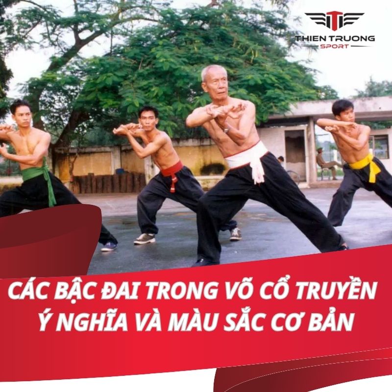 Các bậc đai trong võ cổ truyền ý nghĩa và màu sắc cơ bản