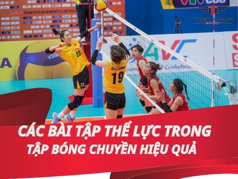 Các bài tập thể lực trong tập bóng chuyền hiệu quả