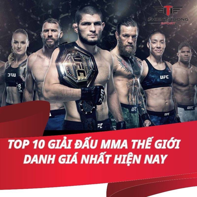 Top 10 giải đấu MMA thế giới danh giá nhất hiện nay