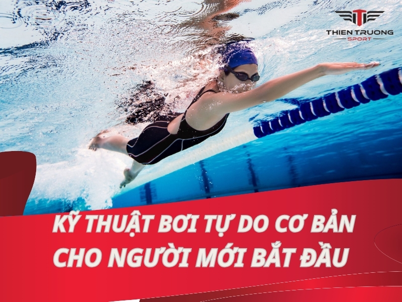 [Chia sẻ] Kỹ thuật bơi tự do cơ bản cho người mới bắt đầu