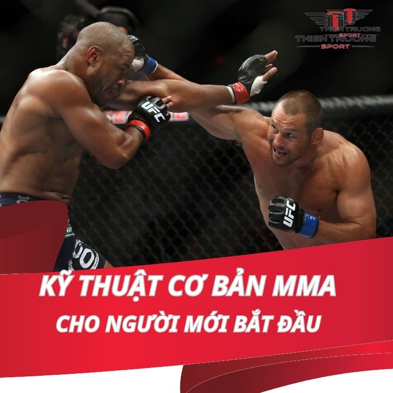 Những kỹ thuật cơ bản MMA cho người mới bắt đầu 