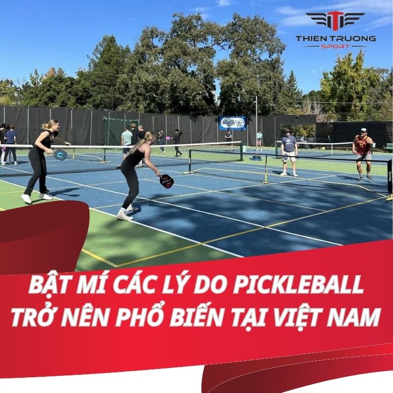 Bật mí các lý do Pickleball trở nên phổ biến