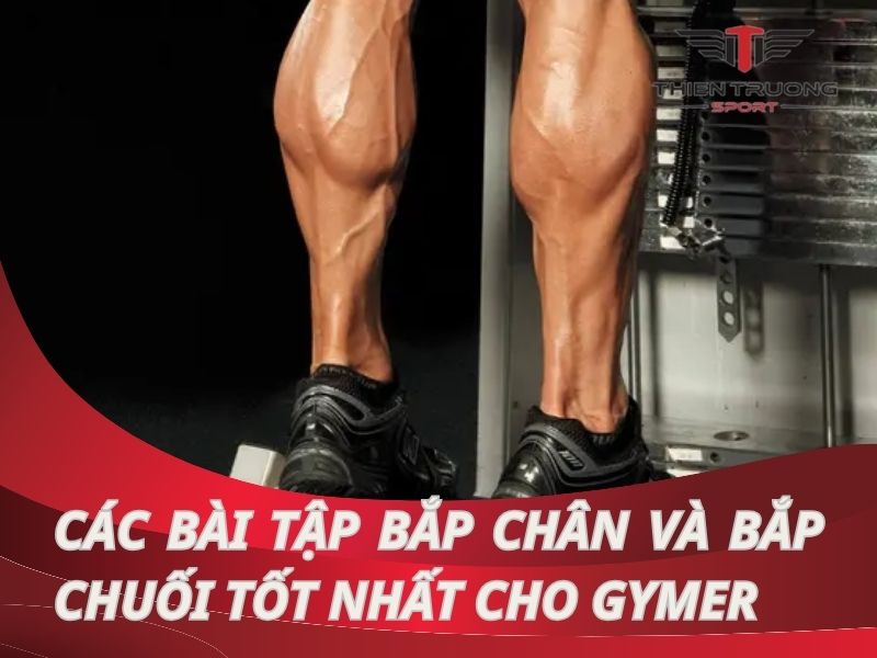 Các bài tập bắp chân và bắp chuối hiệu quả tốt nhất cho Gymer