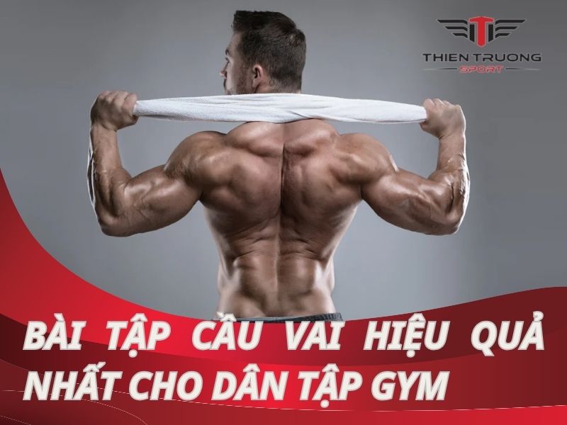 Các bài tập cầu vai tại nhà hiệu quả nhất dành cho dân tập Gym