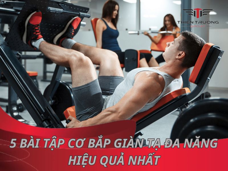 Mách bạn 5 bài tập cơ bắp giàn tạ đa năng hiệu quả nhất