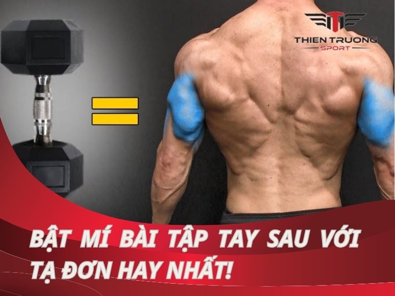 Các bài tập tay sau với tạ đơn tại nhà hiệu quả tốt nhất cho Gymer