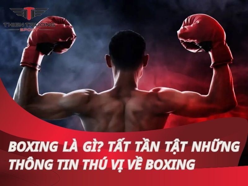 Boxing là gì? Tất tần tật những thông tin thú vị về boxing