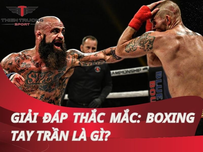 Boxing tay trần là gì? Có phải môn thể thao hoang dã, nguy hiểm?