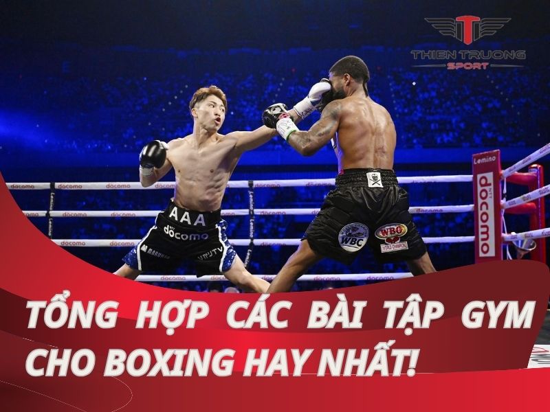 Tổng hợp các bài tập gym cho boxing tăng cường sức mạnh hay nhất!