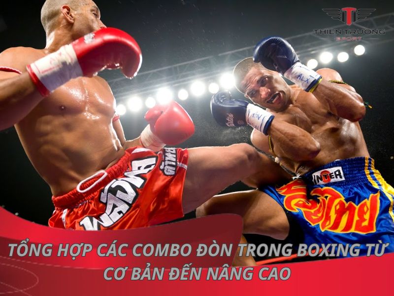 Tổng hợp 20+ các combo đòn trong boxing từ cơ bản đến nâng cao