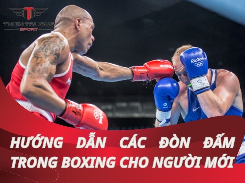 Hướng dẫn các đòn đấm trong boxing cho người mới bắt đầu