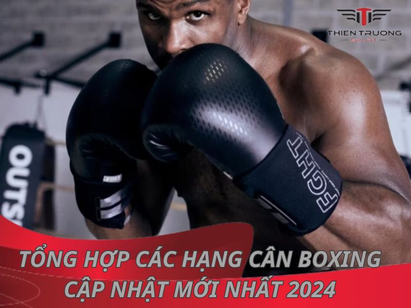 Tổng hợp các hạng cân boxing cập nhật mới nhất 2024 