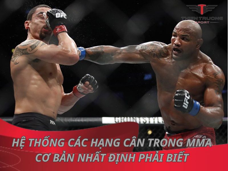 Các hạng cân trong MMA cơ bản nhất định phải biết 