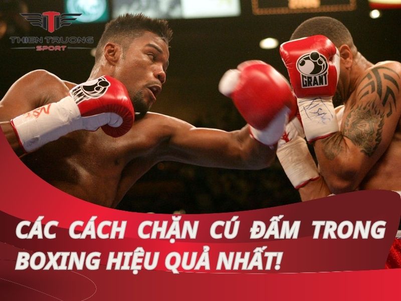 Hướng dẫn các cách chặn cú đấm trong boxing hiệu quả nhất!