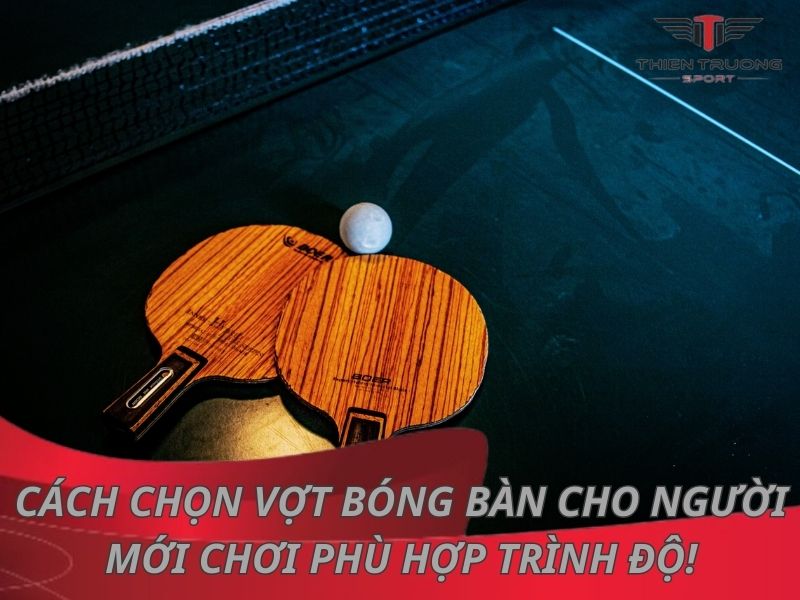 Cách chọn vợt bóng bàn cho người mới chơi phù hợp trình độ!