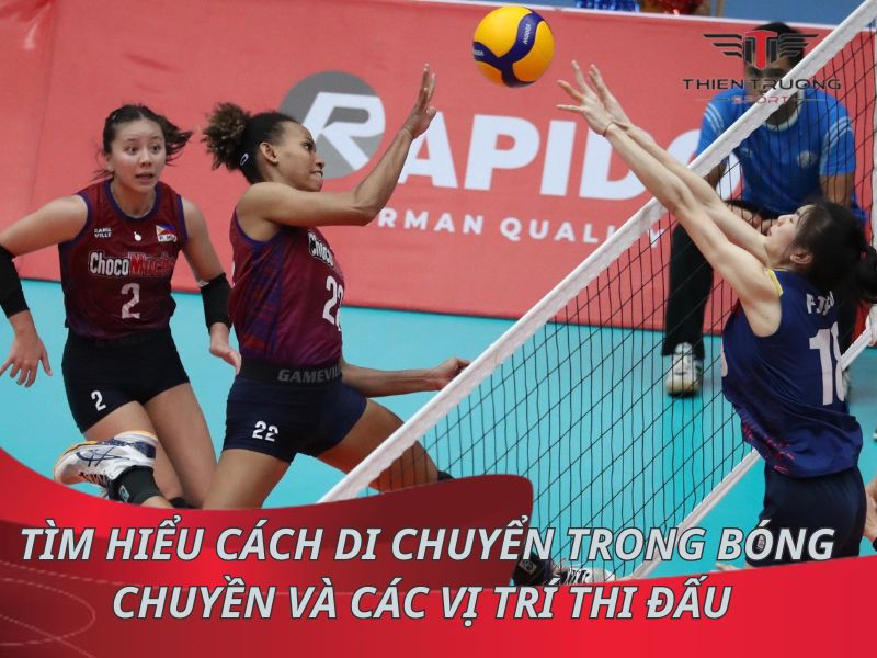 Tìm hiểu cách di chuyển trong bóng chuyền và các vị trí thi đấu 