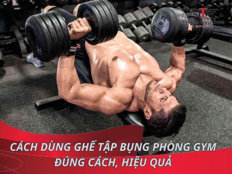 Hướng dẫn cách dùng ghế tập bụng phòng gym đúng cách, hiệu quả