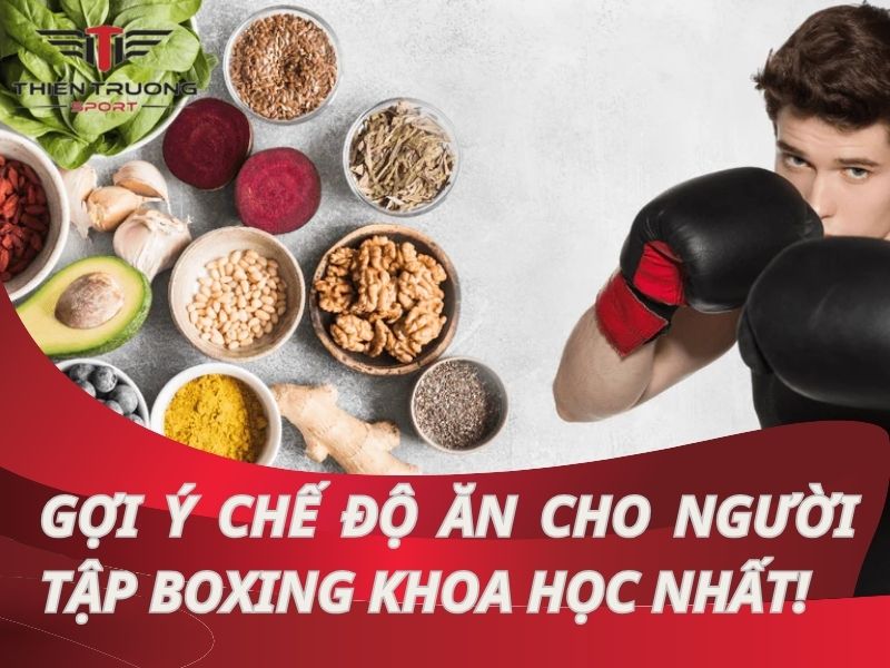 Gợi ý chế độ ăn cho người tập boxing khoa học, hợp lý nhất