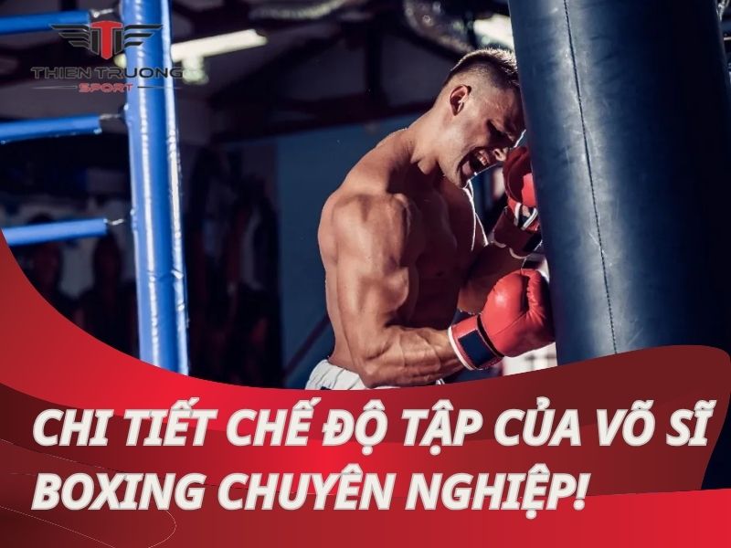 Khám phá chi tiết chế độ tập của võ sĩ boxing chuyên nghiệp!