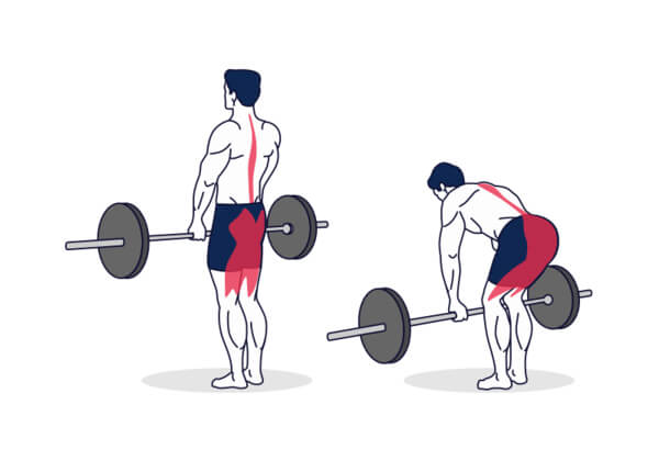 Romanian barbell deadlift