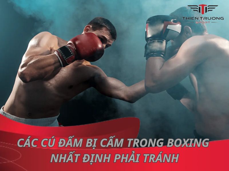  4 cú đấm bị cấm trong Boxing nhất định phải tránh