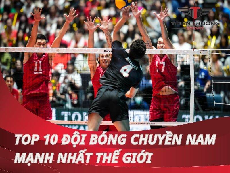 Khám phá top 10 đội bóng chuyền nam mạnh nhất thế giới