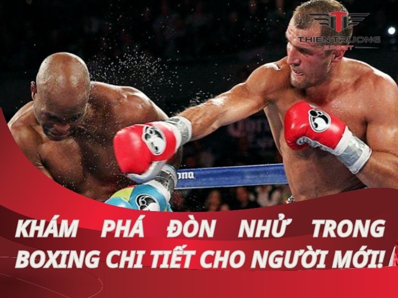 Tìm hiểu đòn nhử trong boxing cơ bản mọi võ sĩ cần biết