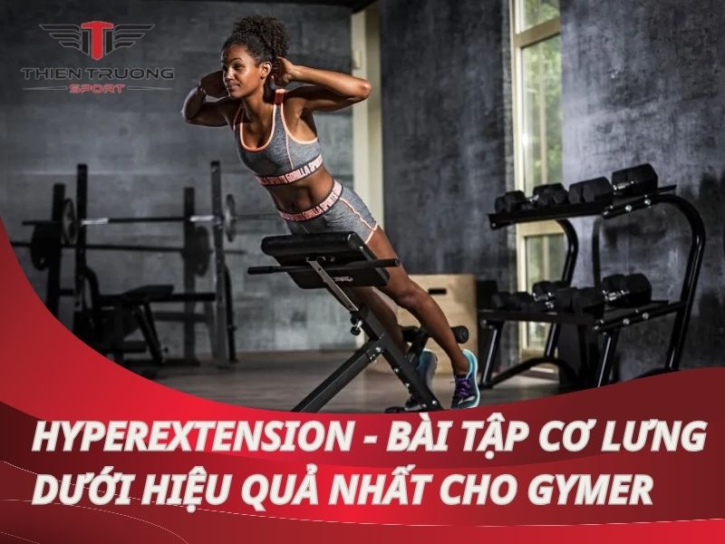 Hyperextension - bài tập cơ lưng dưới hiệu quả nhất cho Gymer