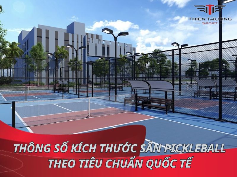 Thông số kích thước sân Pickleball theo tiêu chuẩn quốc tế