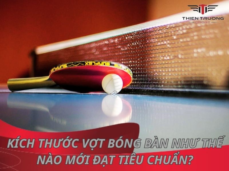 Kích thước vợt bóng bàn như thế nào mới đạt tiêu chuẩn?