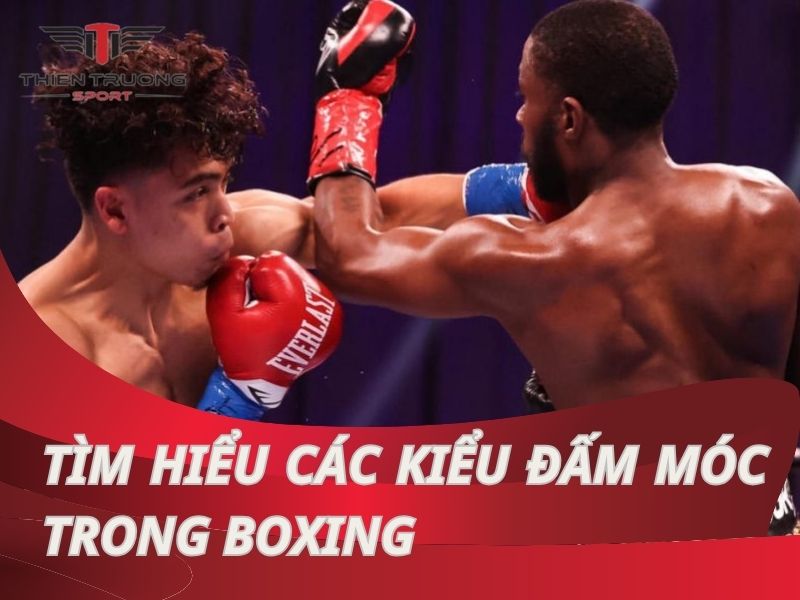 Các kiểu đấm móc trong boxing - nghệ thuật tấn công mạnh mẽ