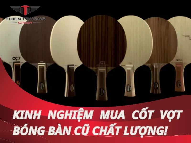 Mách bạn kinh nghiệm mua cốt vợt bóng bàn cũ chất lượng nhất!