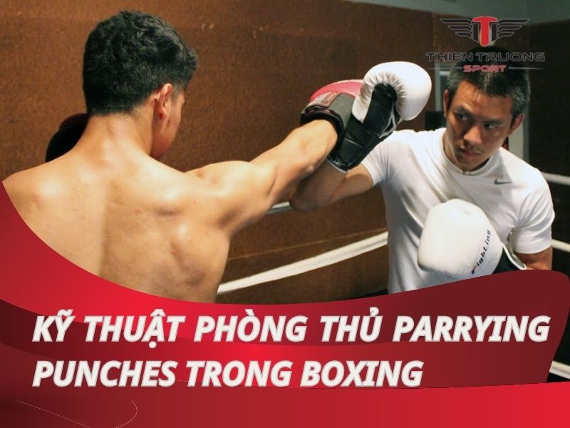 Tất tần tật về kỹ thuật phòng thủ Parrying Punches trong boxing