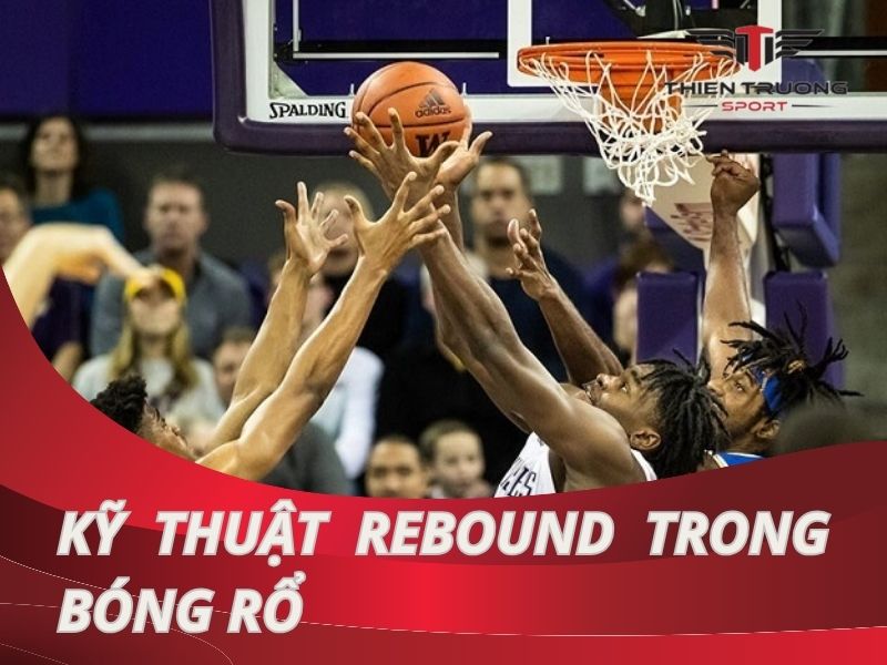 Biết tuốt về kỹ thuật Rebound trong bóng rổ, nâng tầm kỹ năng