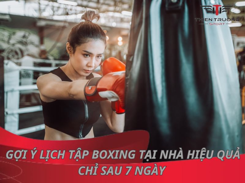 Gợi ý lịch tập boxing tại nhà hiệu quả nhất chỉ sau 7 ngày 