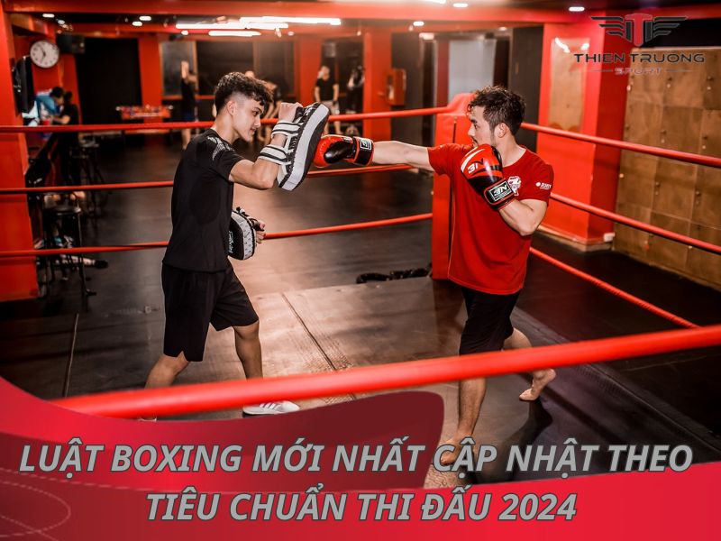 Luật boxing 2024 và những điều bạn cần biết