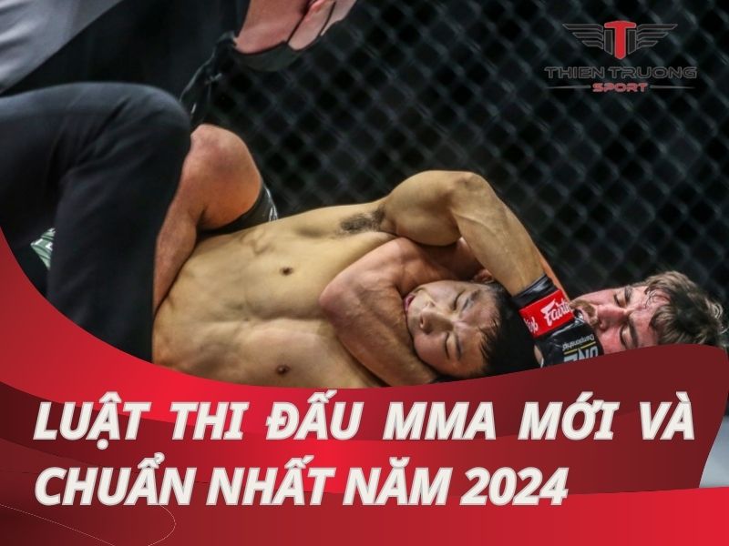 Tất tần tật về luật thi đấu MMA mới nhất 2024