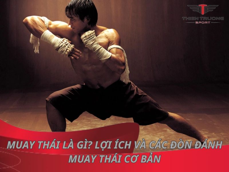 Muay Thái là gì? Lợi ích và các đòn đánh Muay Thái cơ bản