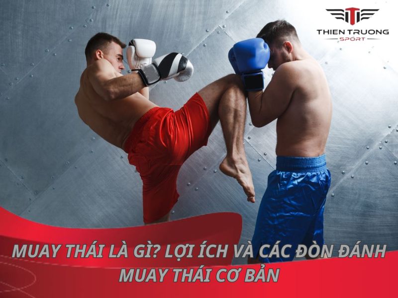 Nên tập boxing hay Muay Thái? Môn võ nào tốt và hiệu quả hơn