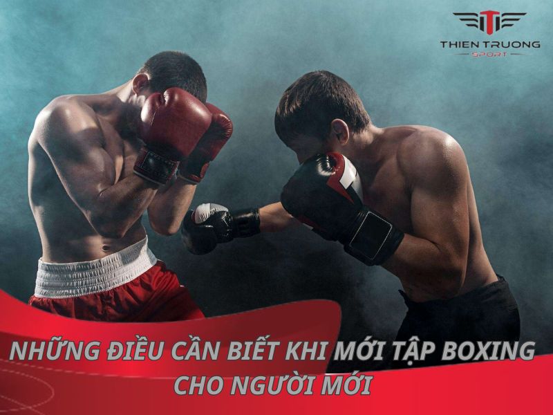 Tổng hợp những điều cần biết khi mới tập boxing cho người mới