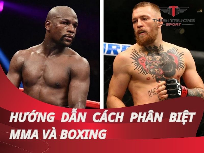 Hướng dẫn cách phân biệt MMA và Boxing chi tiết, chính xác nhất!