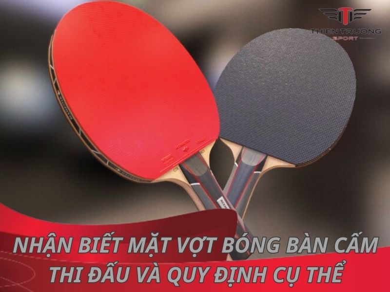 Nhận biết mặt vợt bóng bàn cấm thi đấu và quy định cụ thể