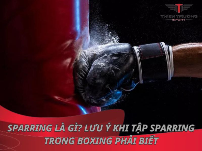 Sparring là gì? 7 lưu ý khi tập sparring trong boxing phải biết