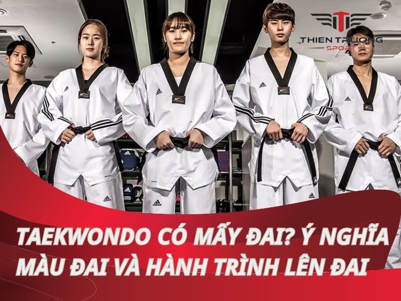 Taekwondo có mấy đai? Ý nghĩa màu đai và hành trình lên đai