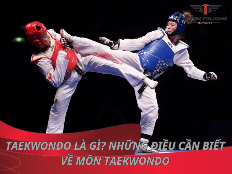 Taekwondo là gì? Những điều bạn cần biết về môn Taekwondo